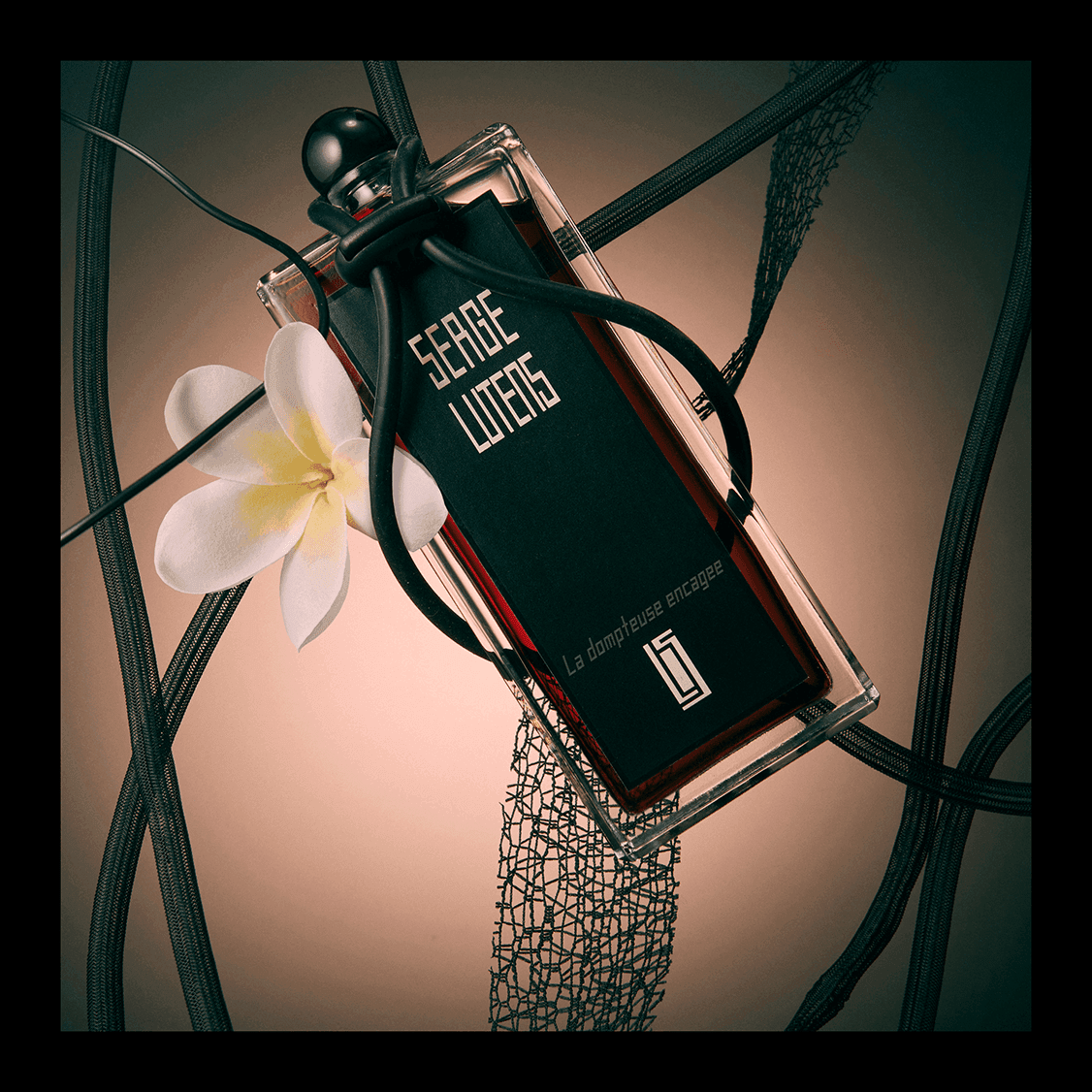 La dompteuse encagée | Serge Lutens